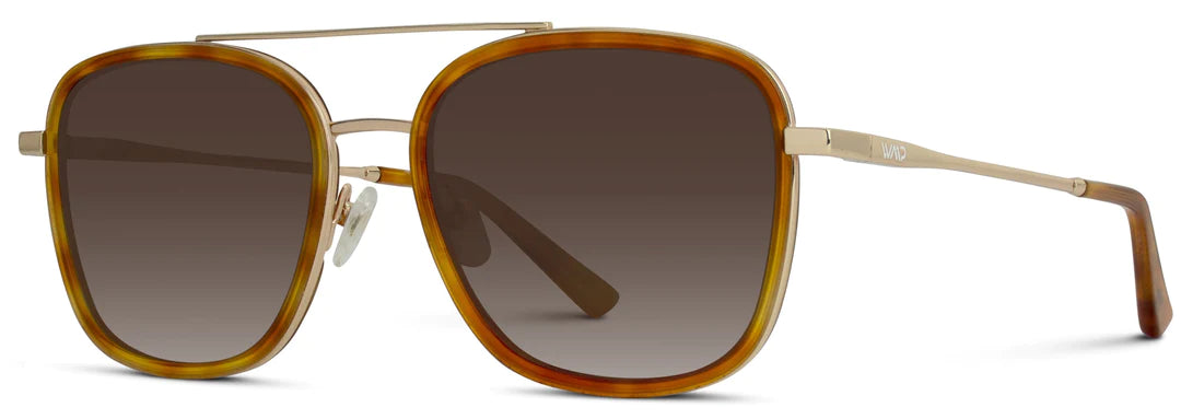 Gia Sunglasses in Sunset Tortoise/Brown