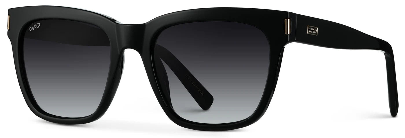 Dakota Sunglasses in Glossy Black/Black
