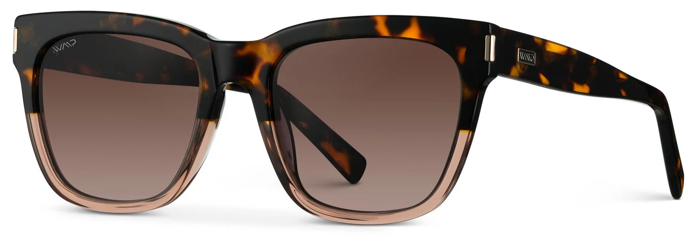 Dakota Sunglasses in Crystal Brown/Brown Gradient