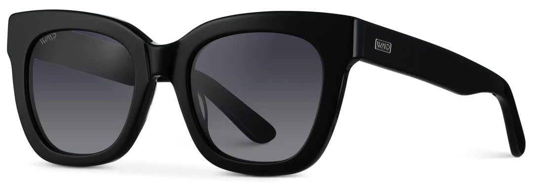 Stormi Sunglasses in Glossy Black/Black