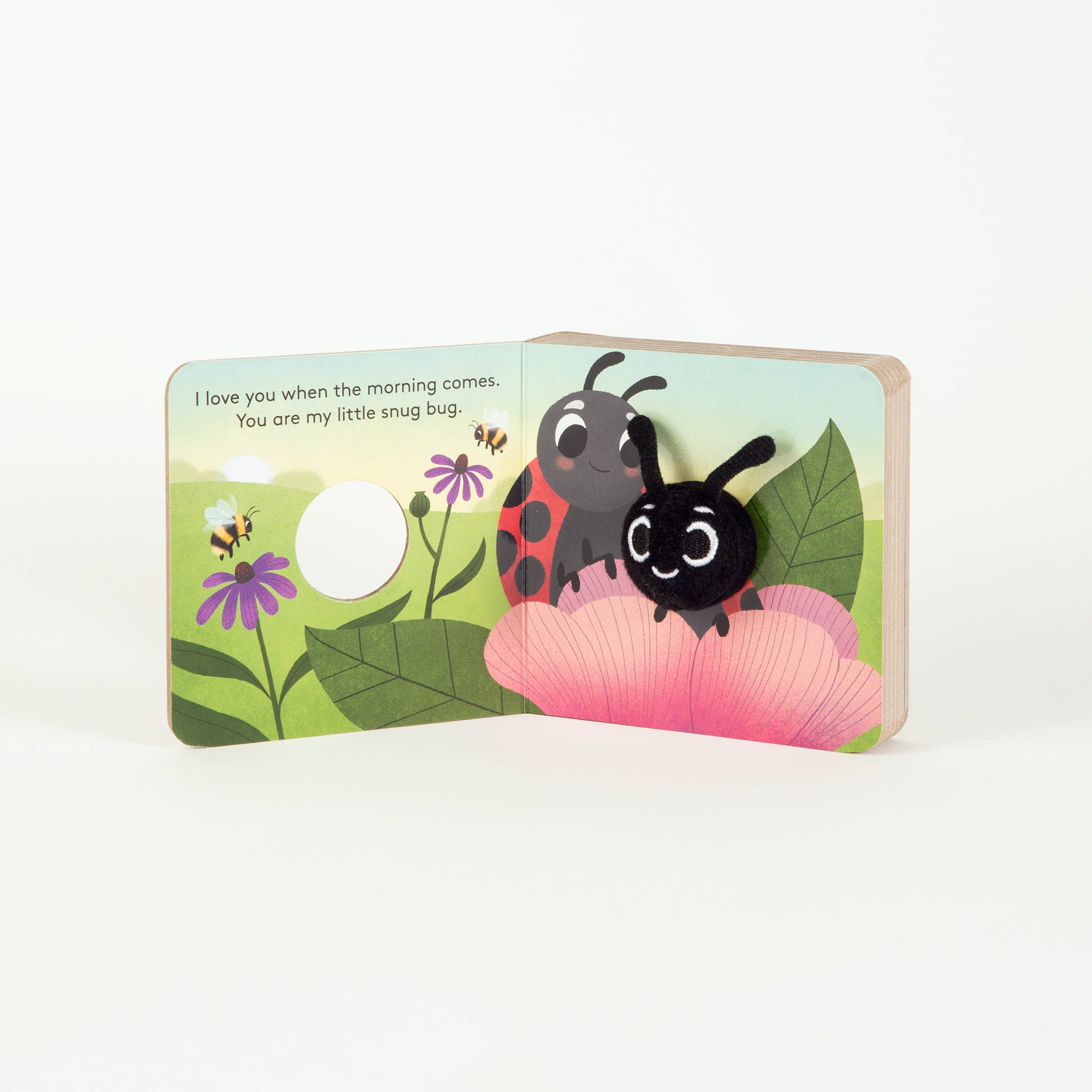 Little Love Bug Finger Puppet Book