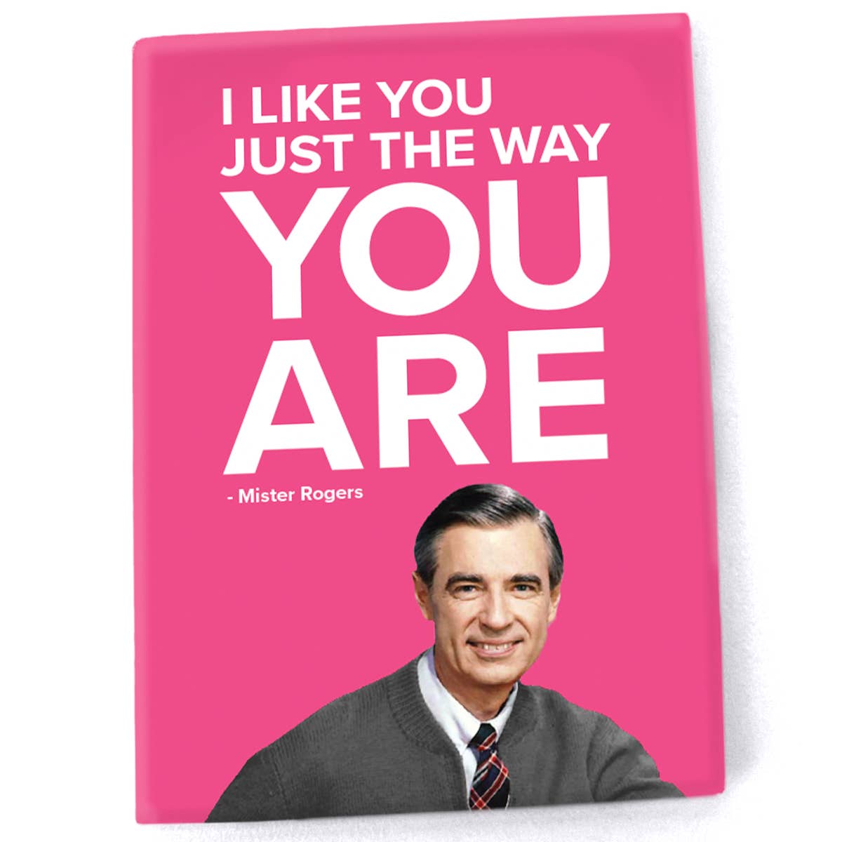 'I Like You Just The Way You Are' Magnet