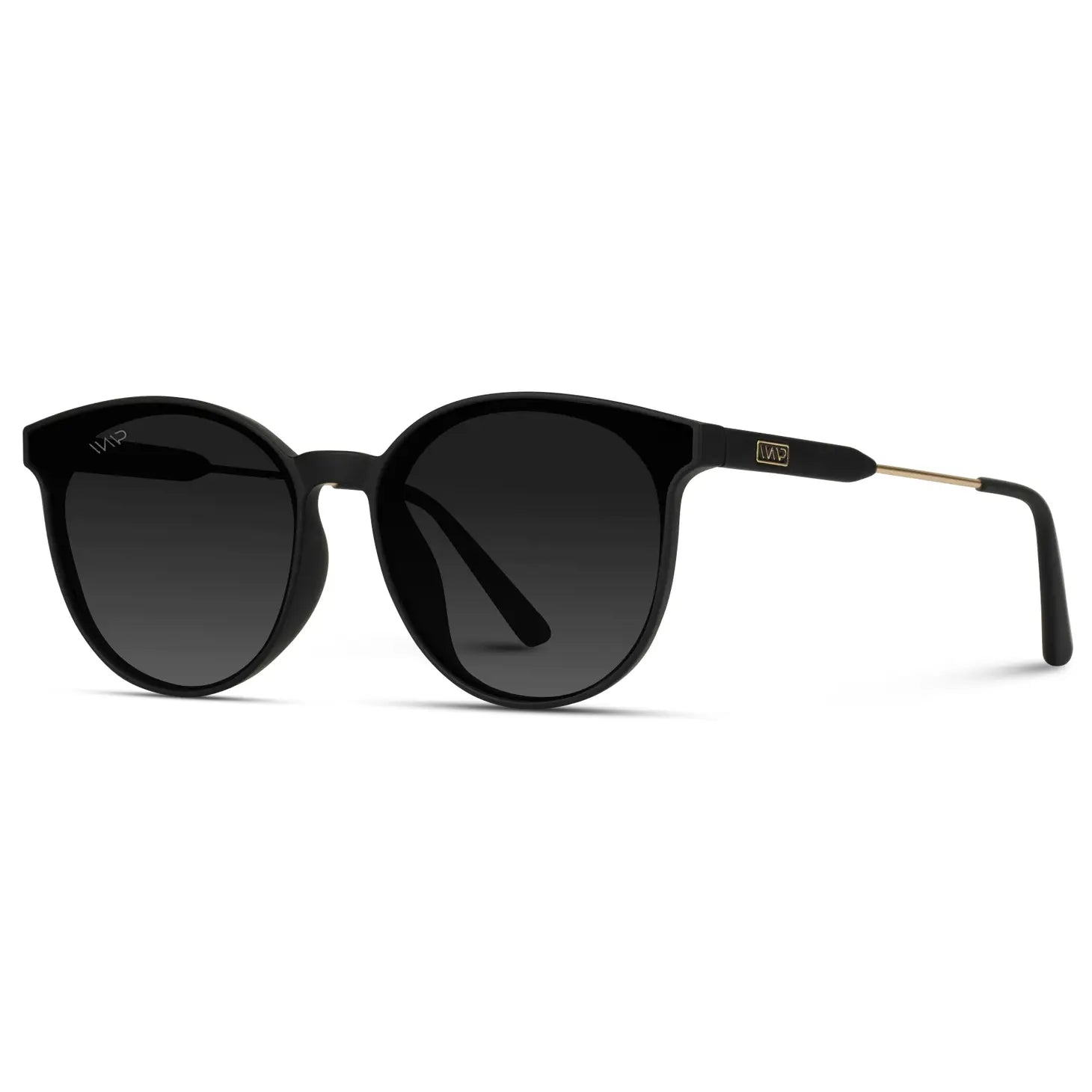 Aubrie Sunglasses in Black/Black