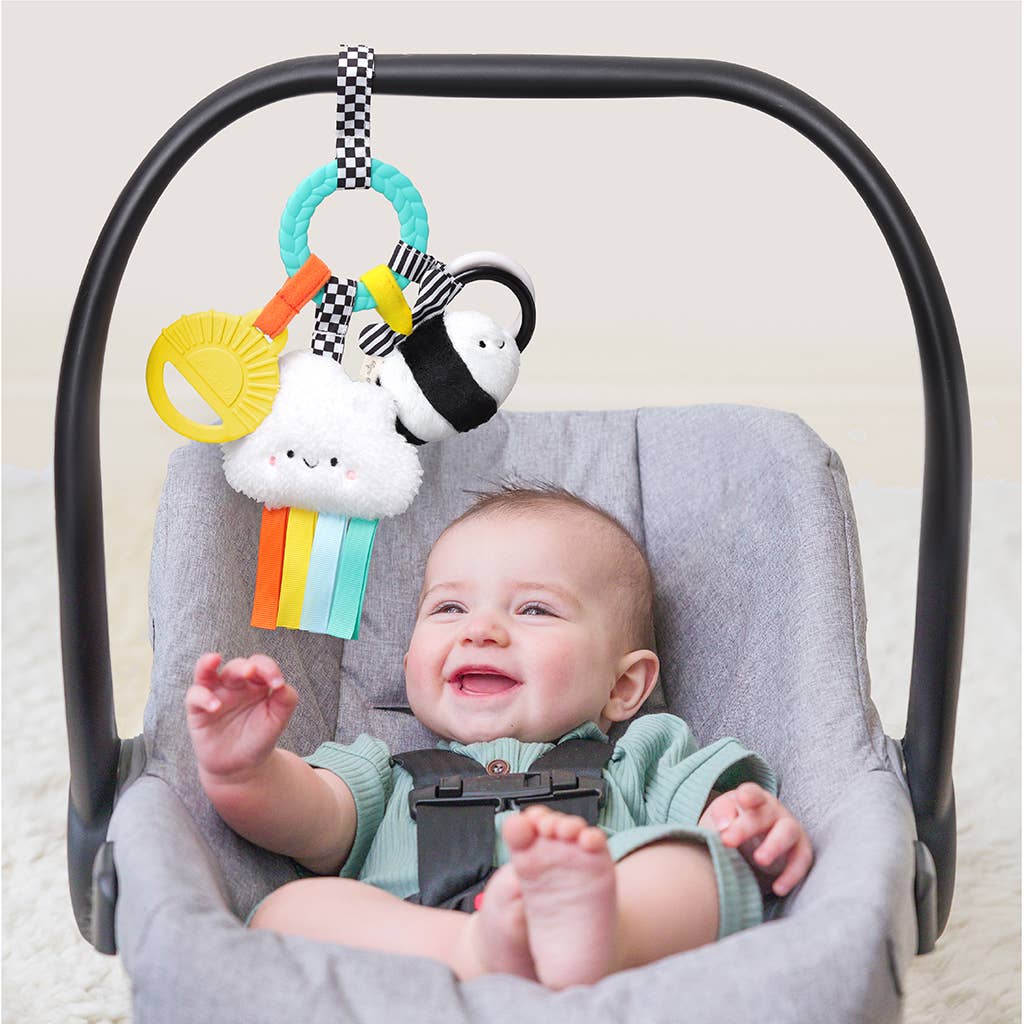 Bitzy Busy Ring™ Teething Activity Toy: High Contrast