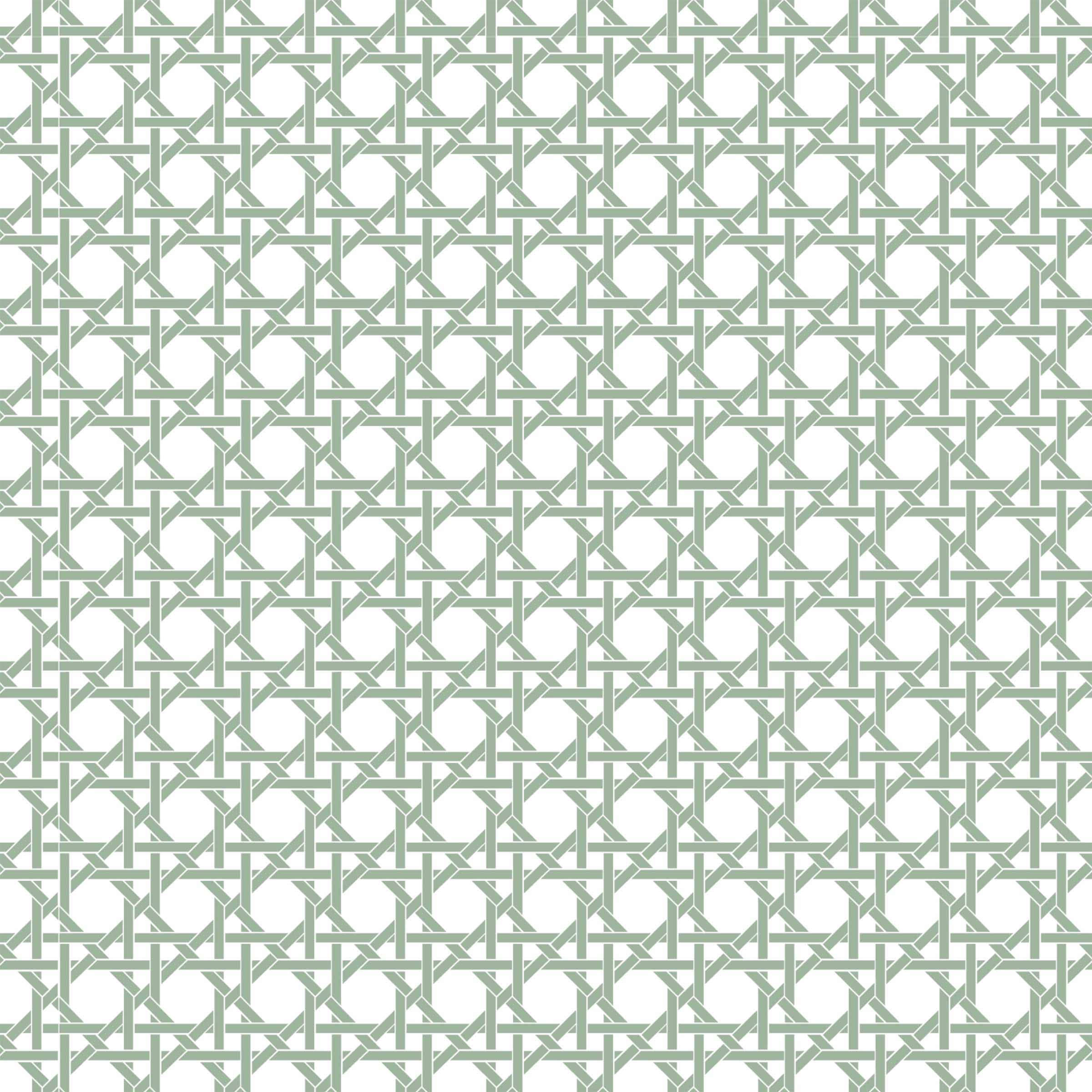 Sage and White Cane – Champagne Collection