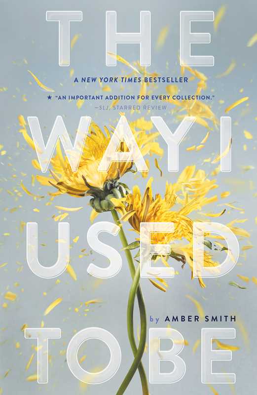 'The Way I Used to Be' by Amber Smith