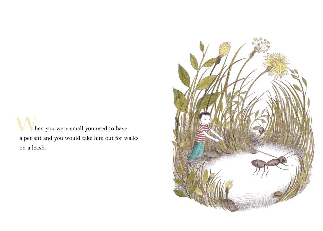 When You Were Small by Sara O'leary