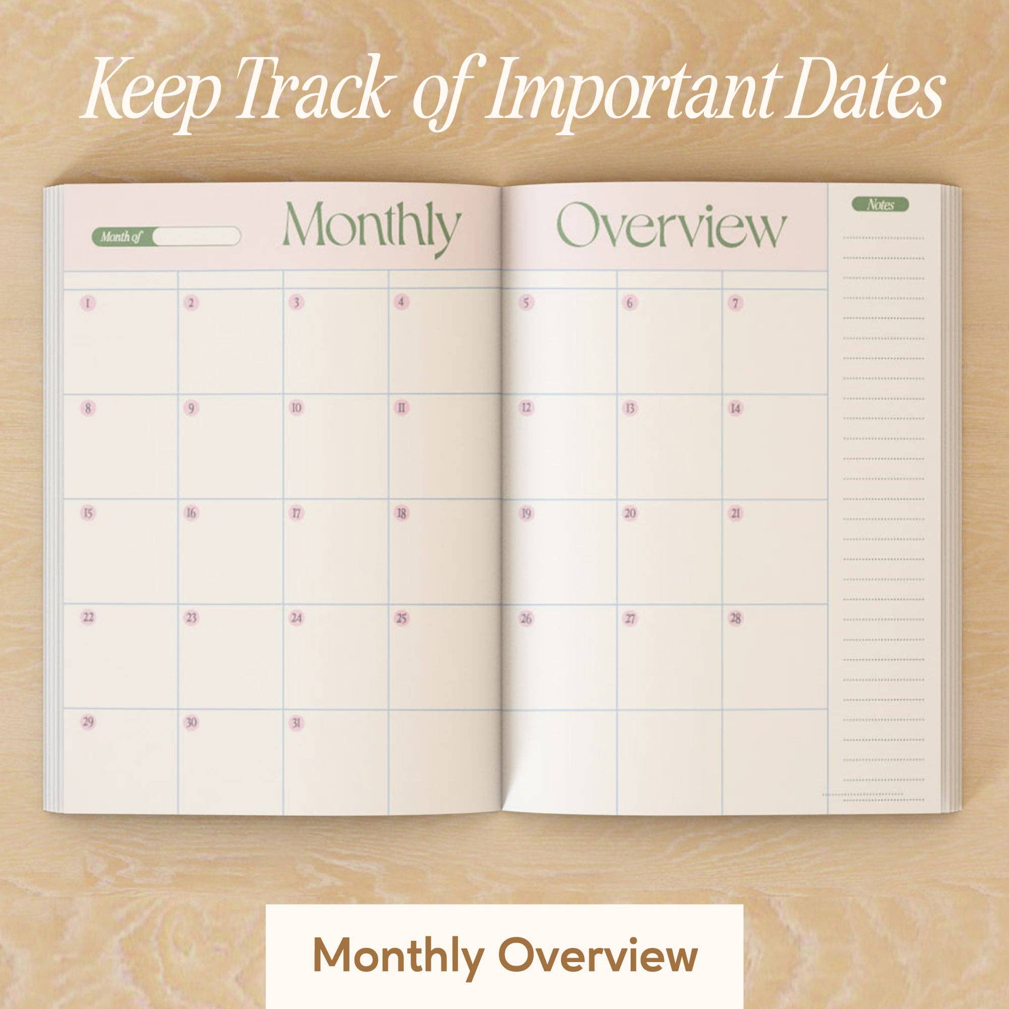 Sunday Stories Daily Planner