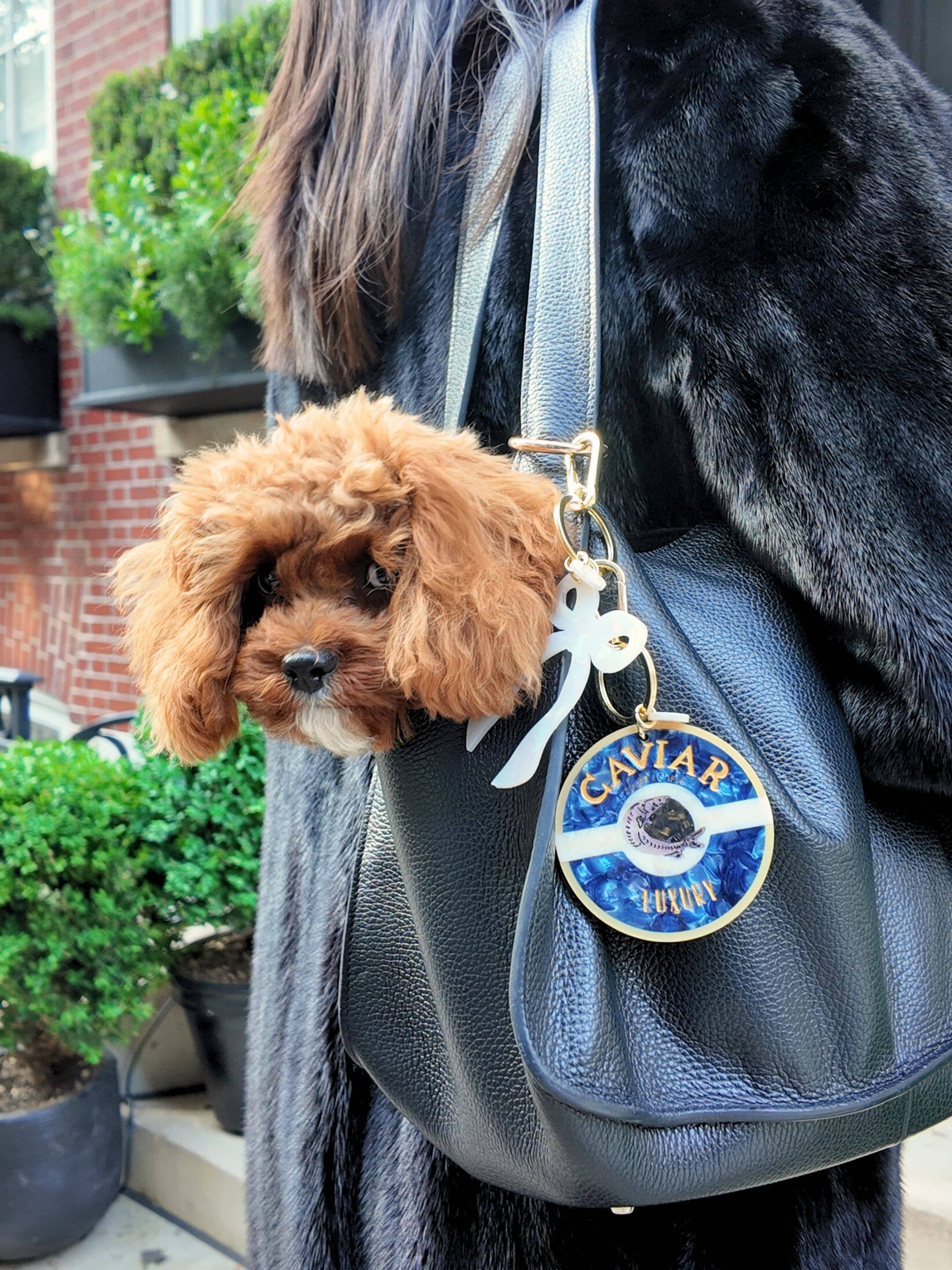 Caviar Bag Charm & Keychain