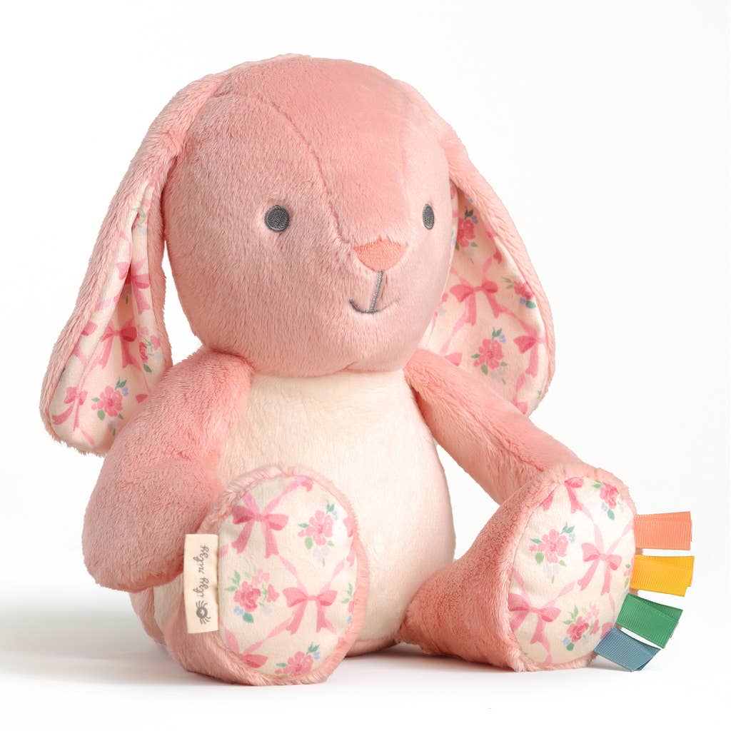 Sweetie Snuggles™ Plush Pink Bunny