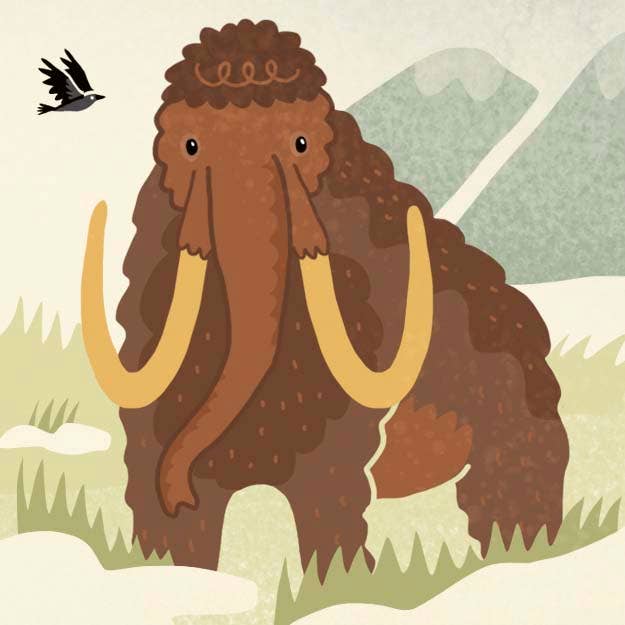 'Dinosaurs: Exploring Prehistoric Life' Book