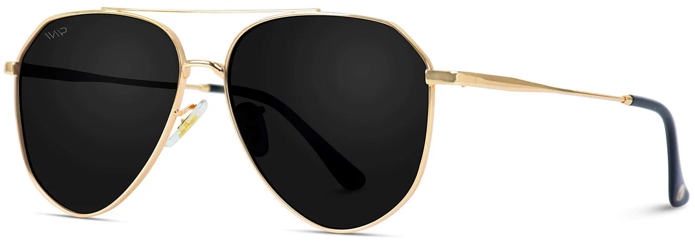 Ramsey Sunglasses in Gold/Black