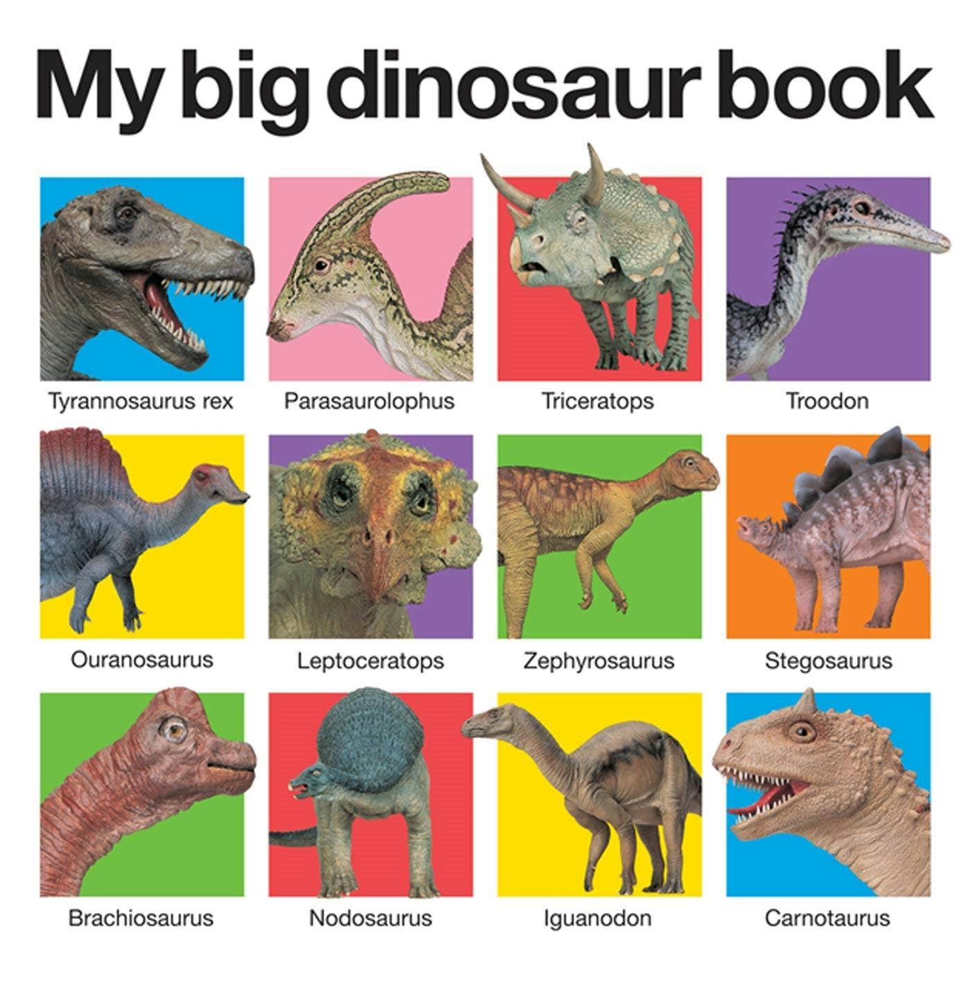 'My Big Dinosaur Book'