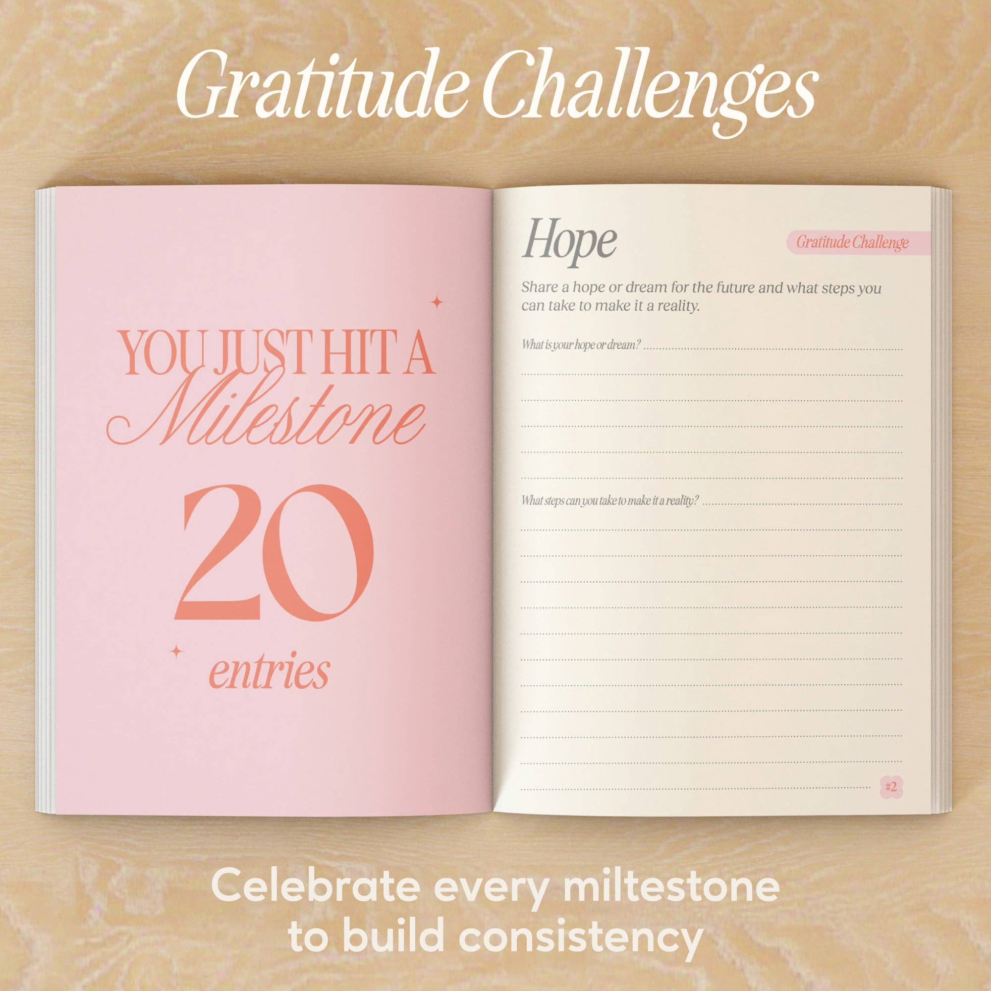 Daylight Delight Gratitude Journal
