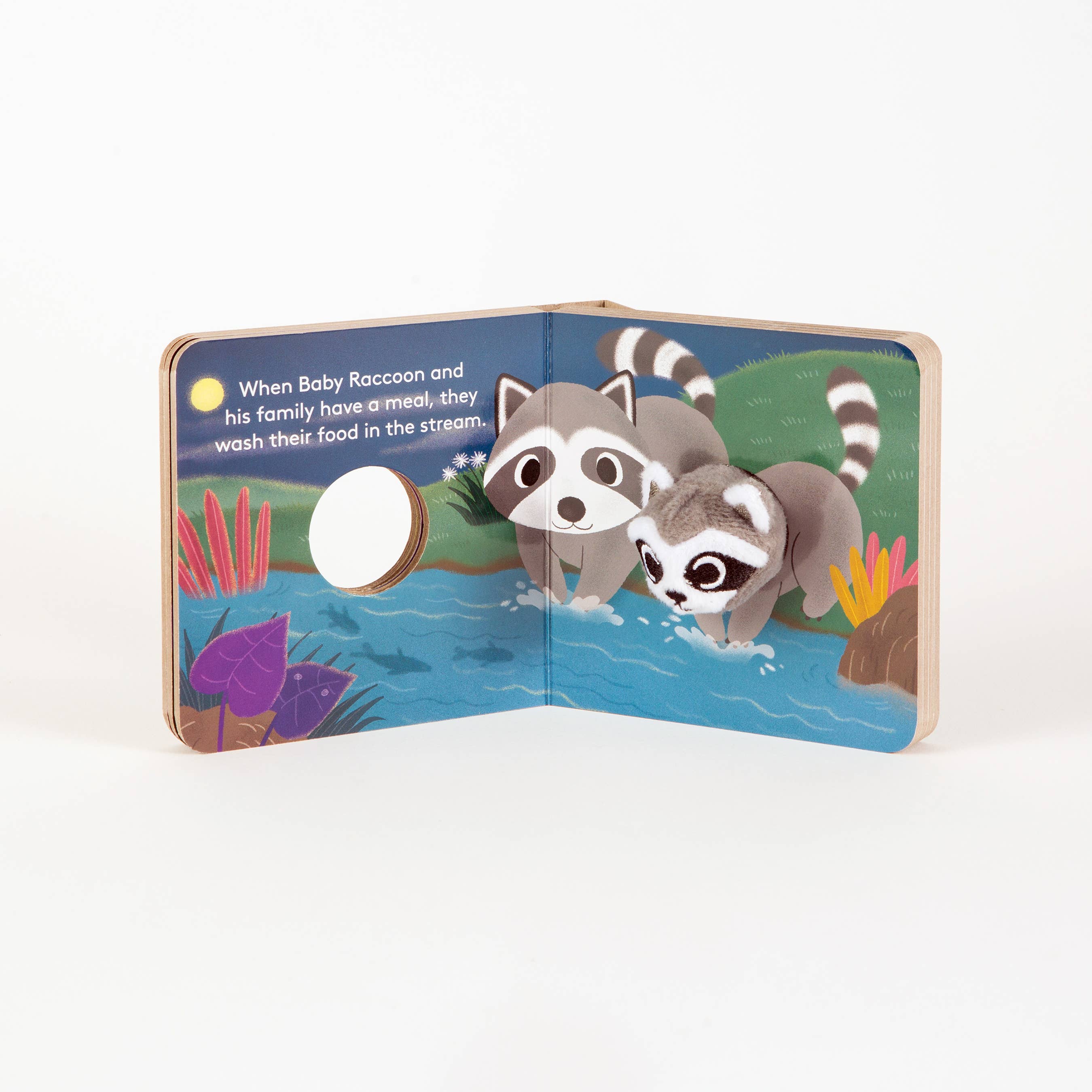 Baby Raccoon Finger Puppet Book
