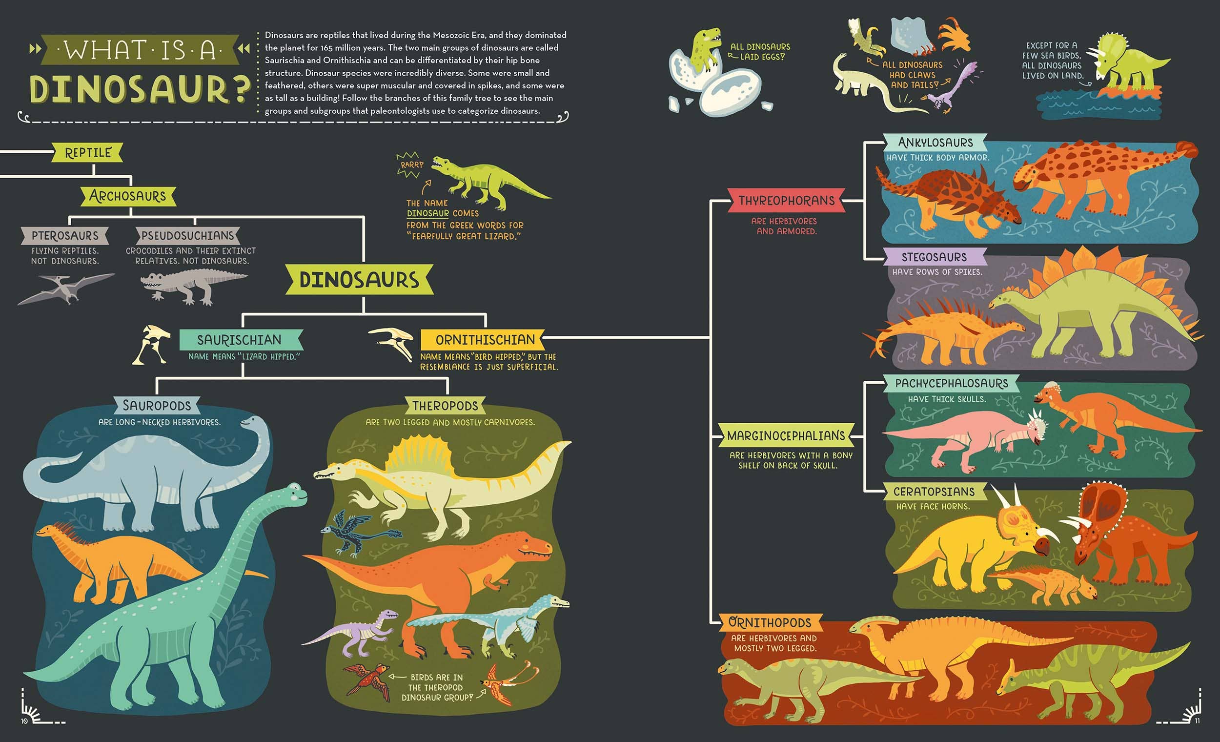'Dinosaurs: Exploring Prehistoric Life' Book