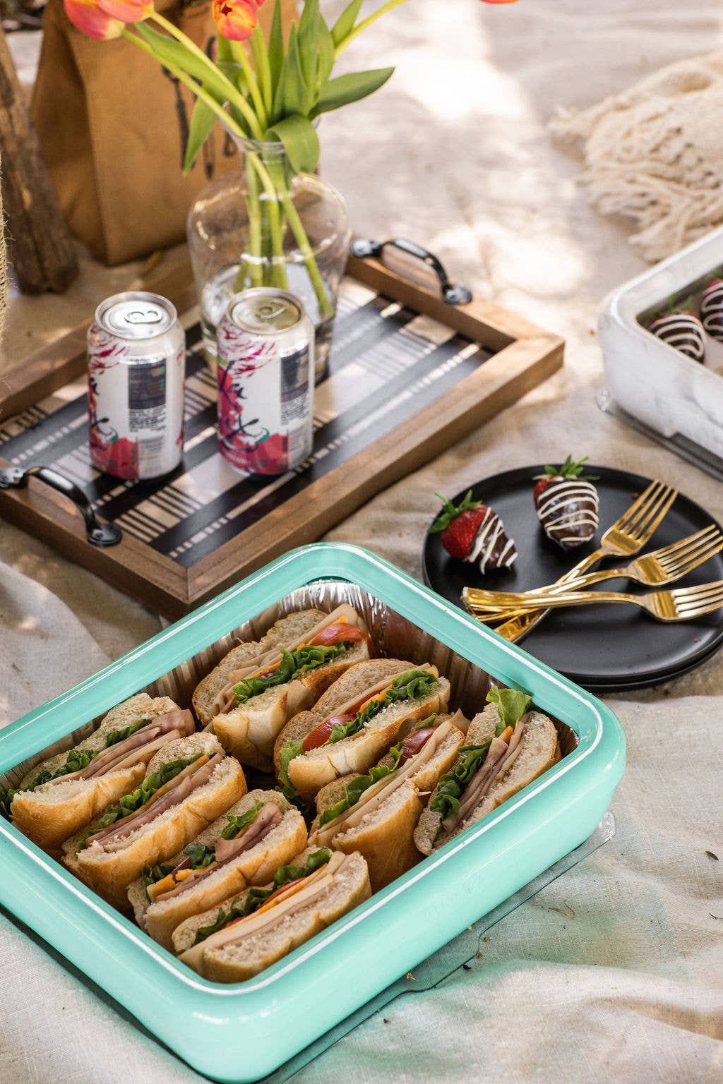 Fancy Panz® Classic Set - Aqua