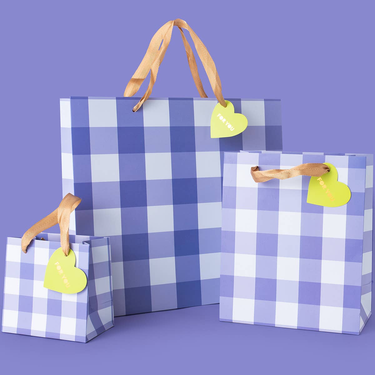 Blue Gingham Gift Bags - Small