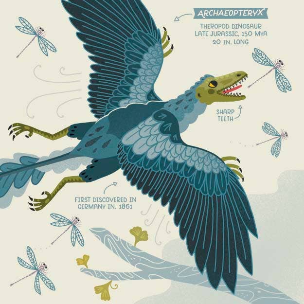 'Dinosaurs: Exploring Prehistoric Life' Book