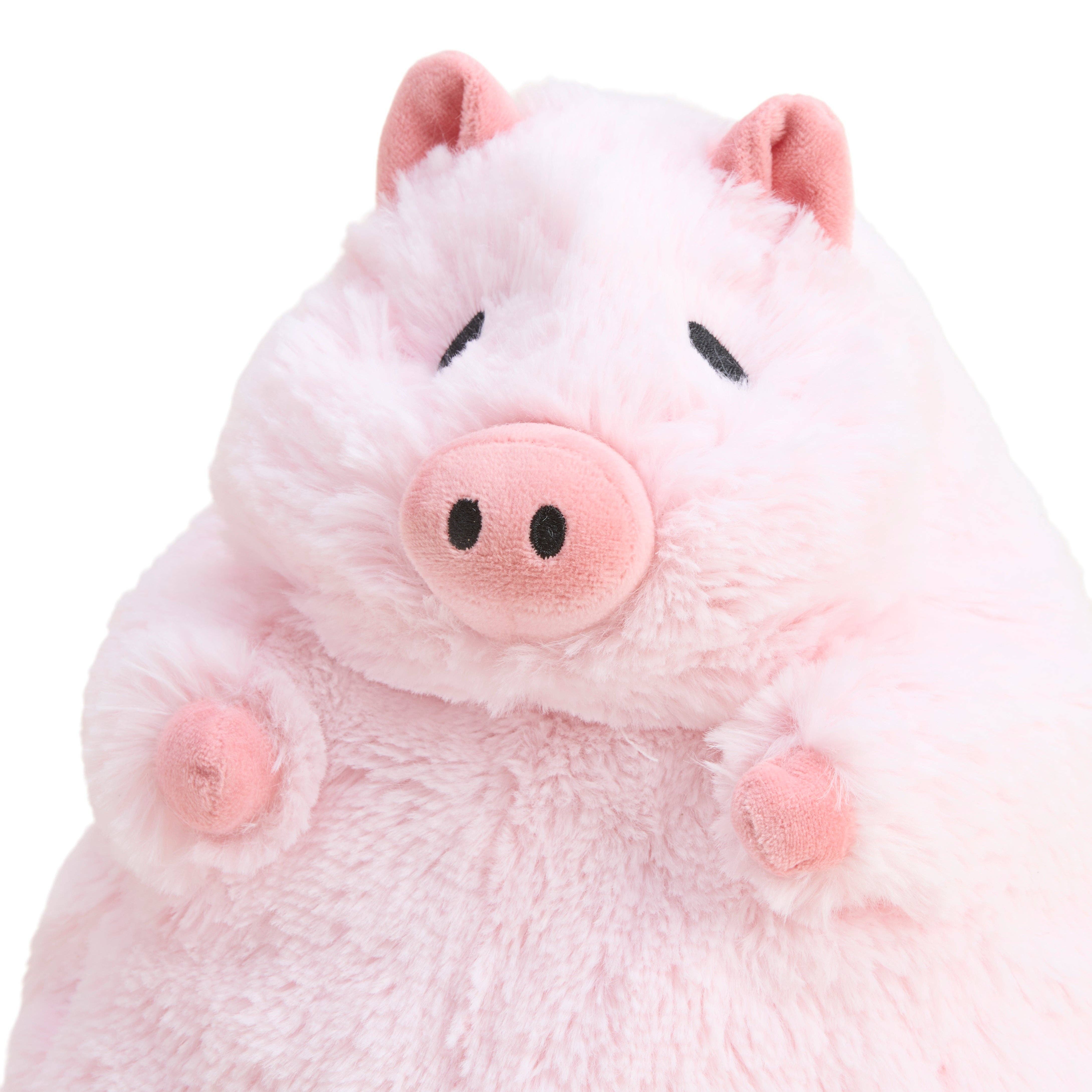 Prosperity Pig Warmies