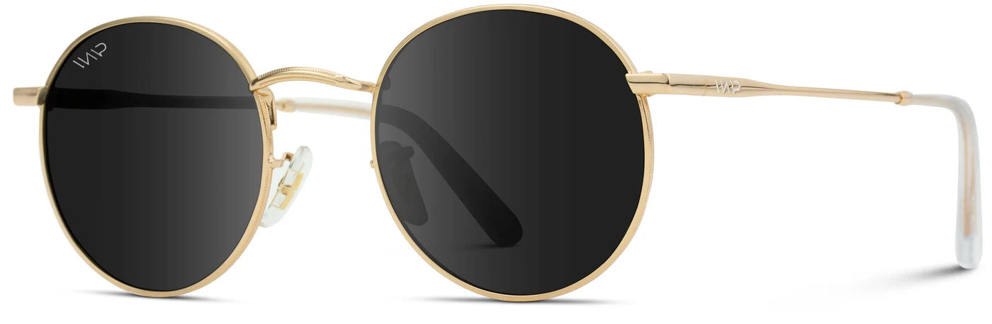 Nevada Sunglasses in Gold/Black