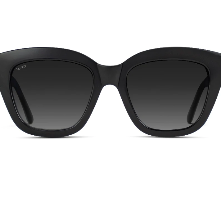 Ava Sunglasses in Black/Gradient Black