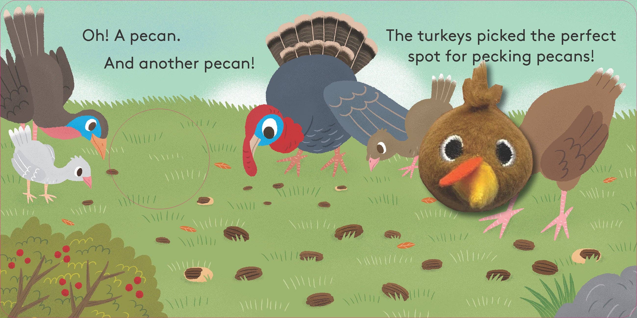 Baby Turkey: Finger Puppet Book