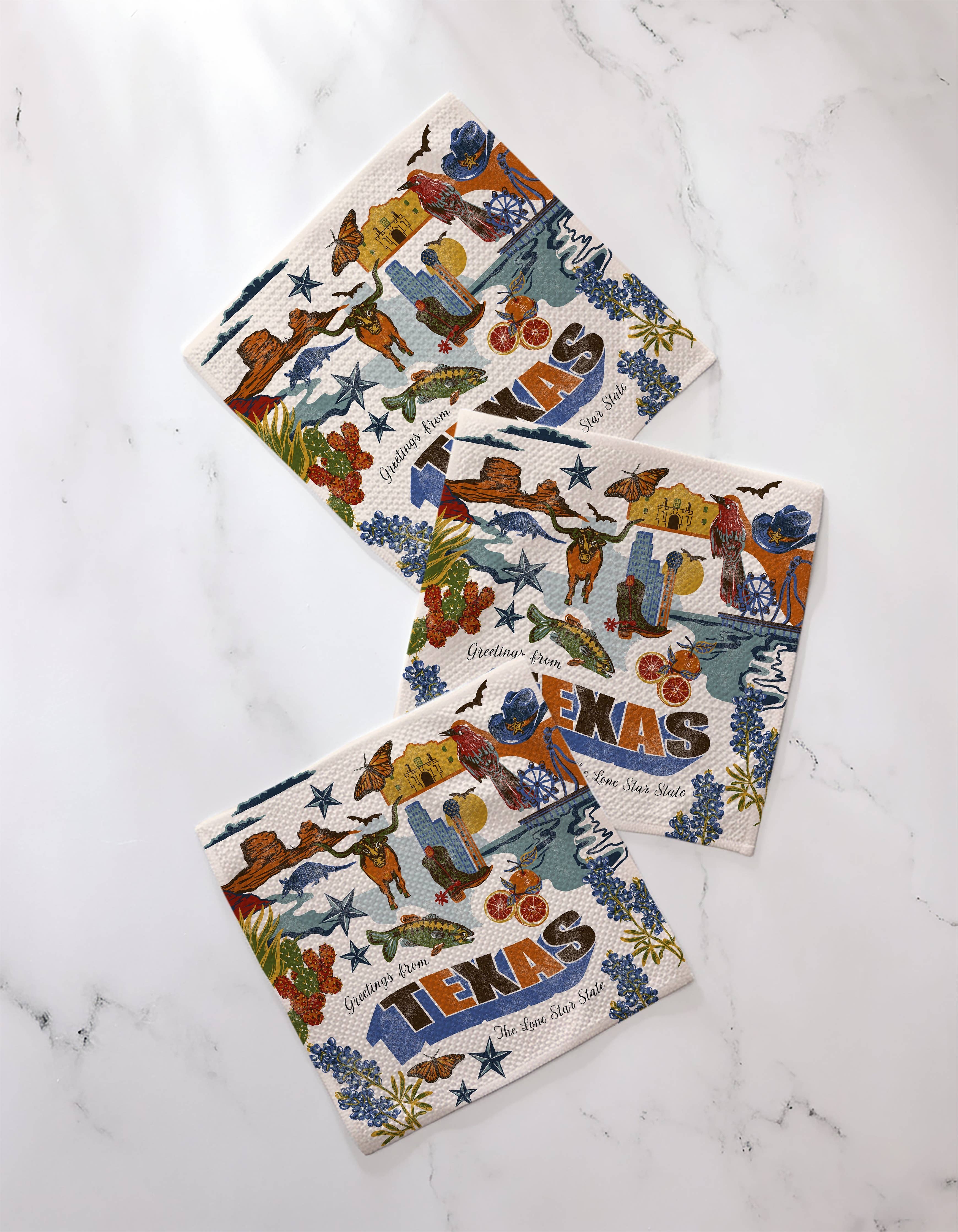 Greetings From Texas Dishcloth Set