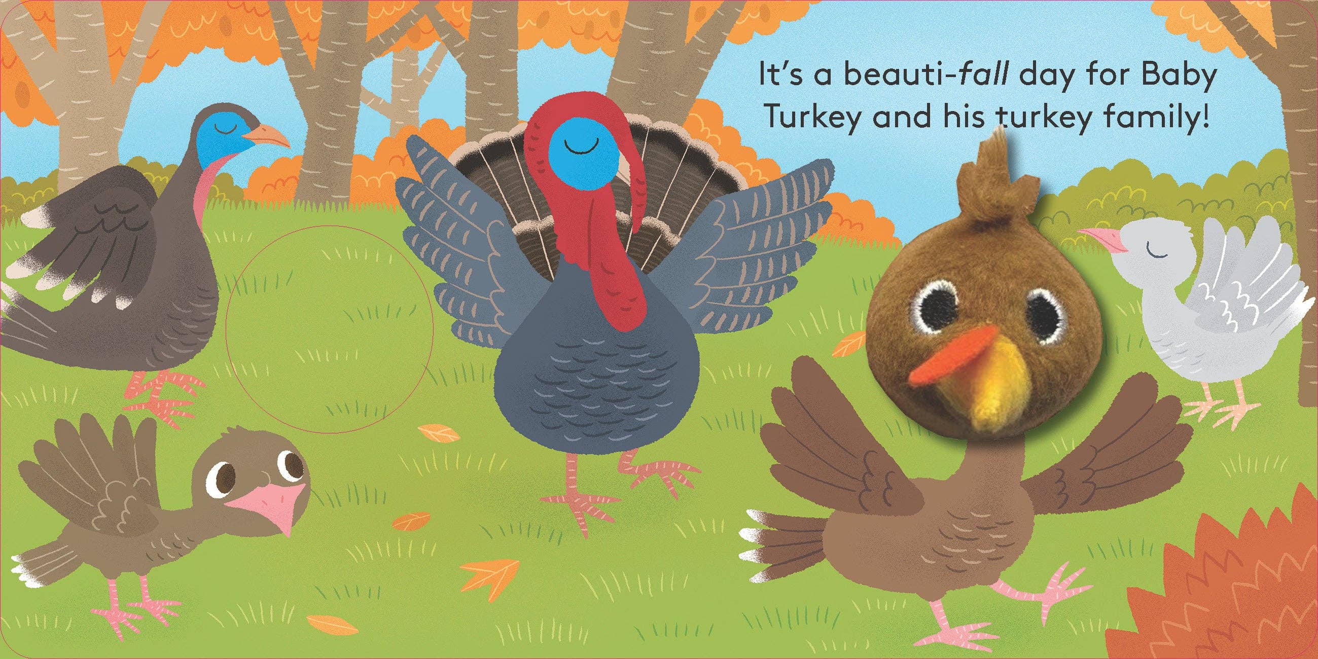Baby Turkey: Finger Puppet Book