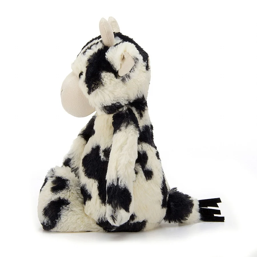 Medium Bashful Calf