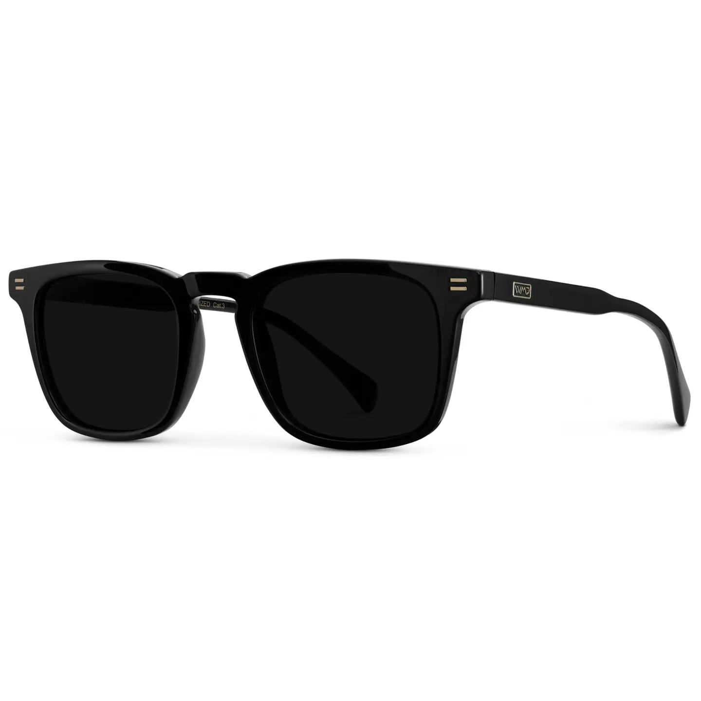 Grant Sunglasses in Black/Triple Black