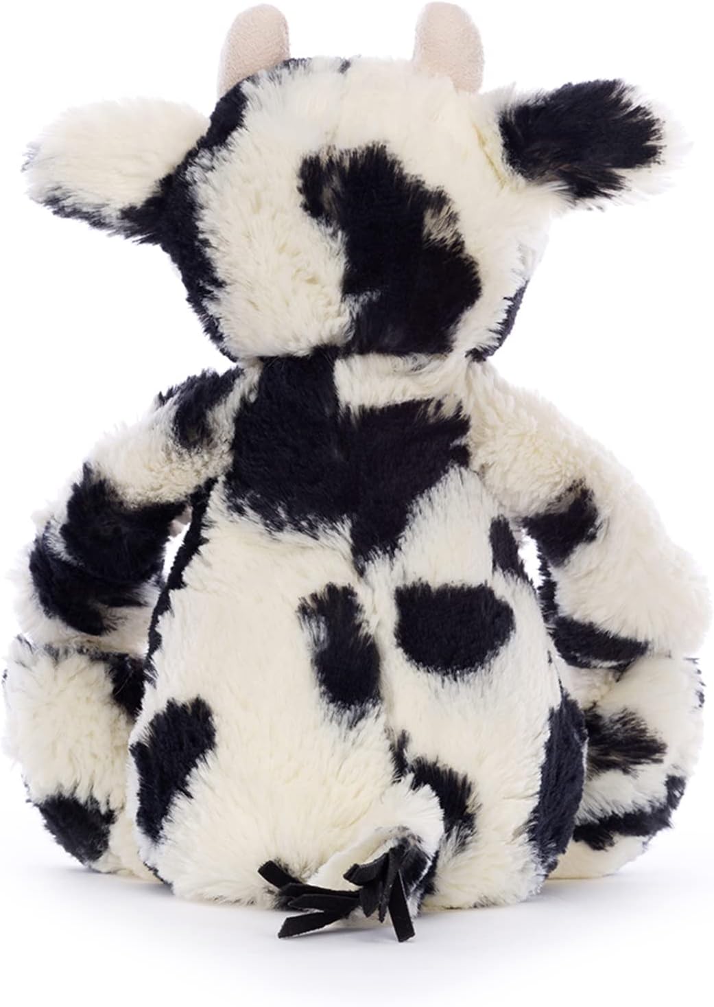 Medium Bashful Calf