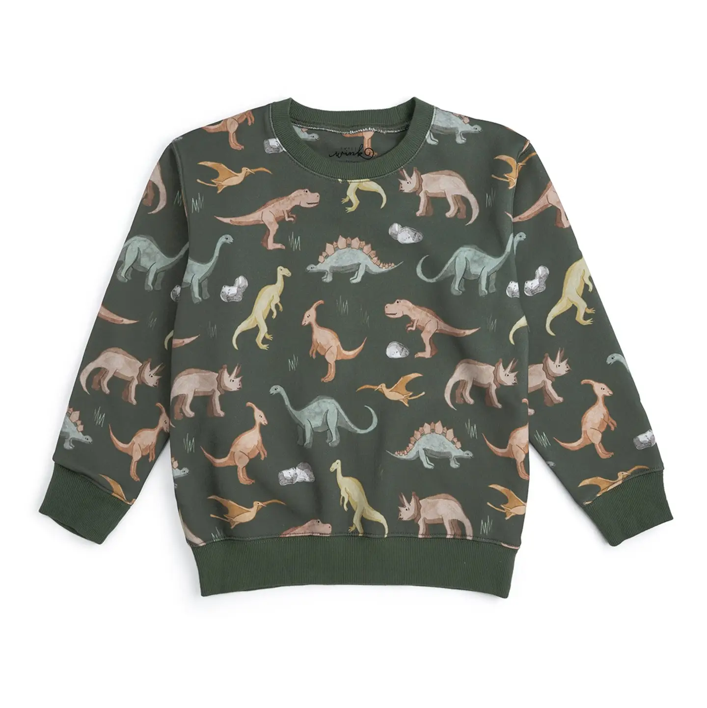 Dinosaurs Rock Sweatshirt