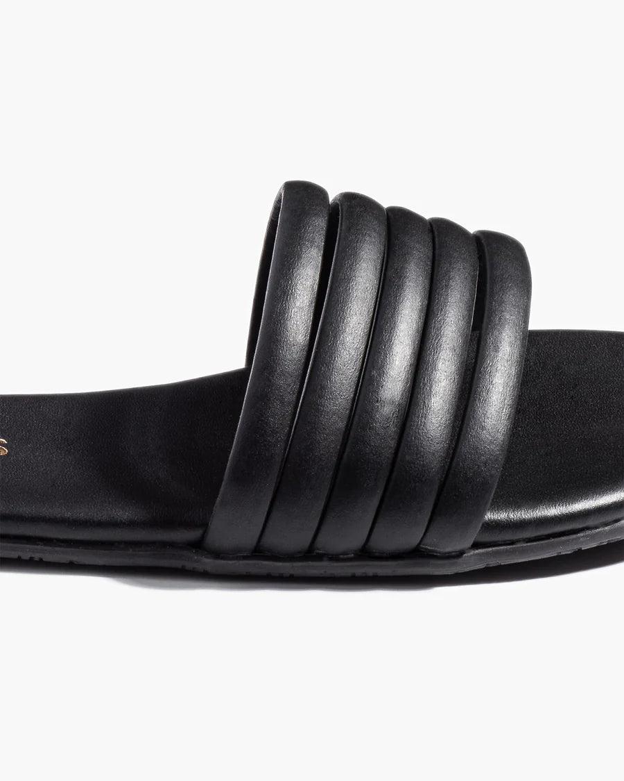 Serena Sandles - Black