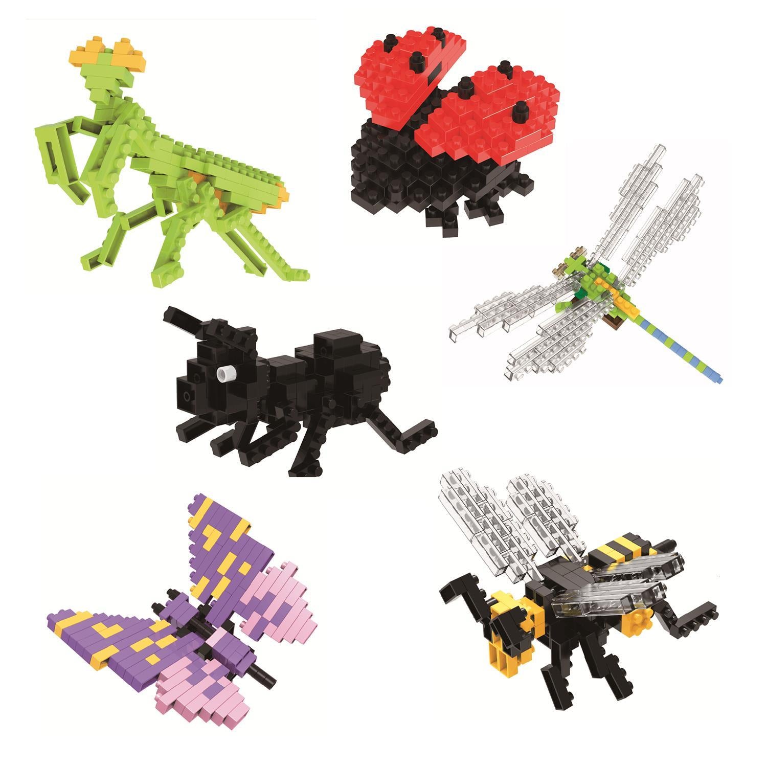 Insect Building Blocks (Assorted)